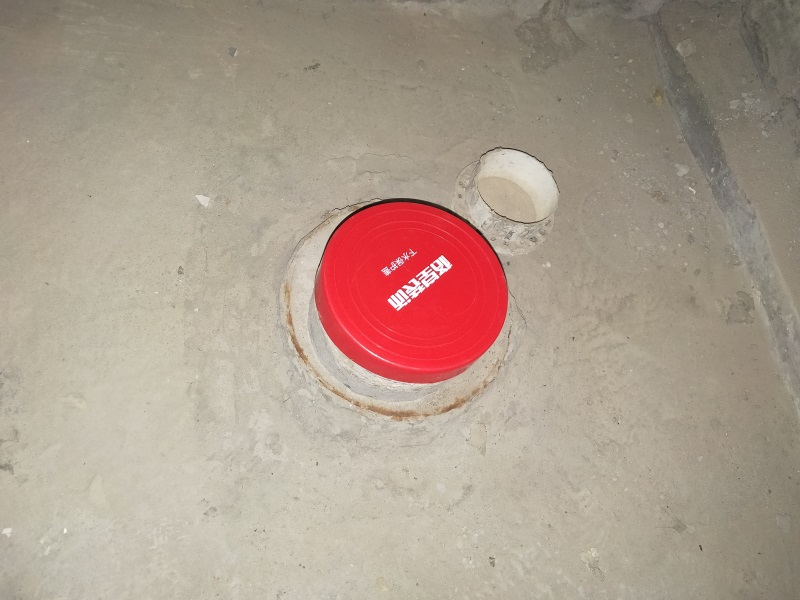 IMG20200103083908.jpg