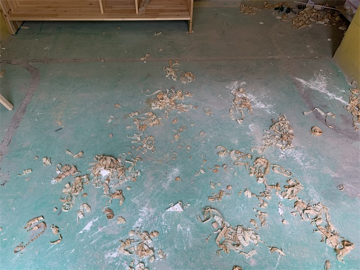 IMG_2286.JPG