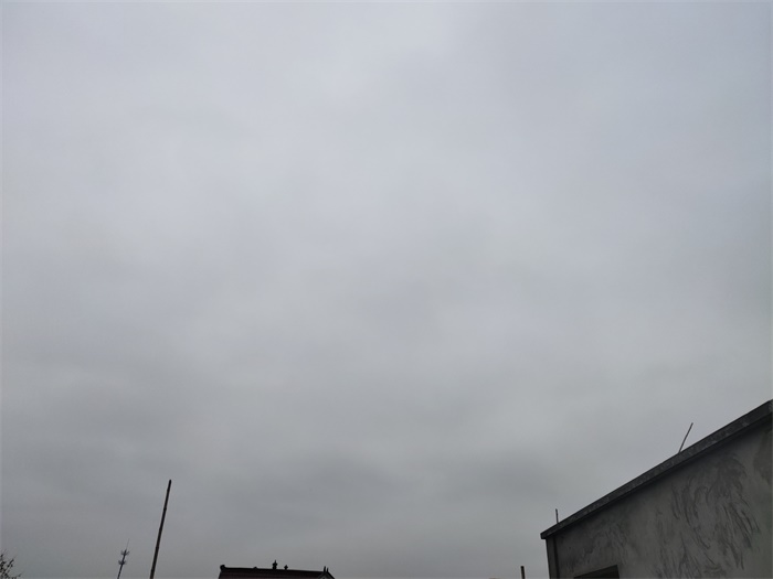 IMG_20200105_100838.jpg