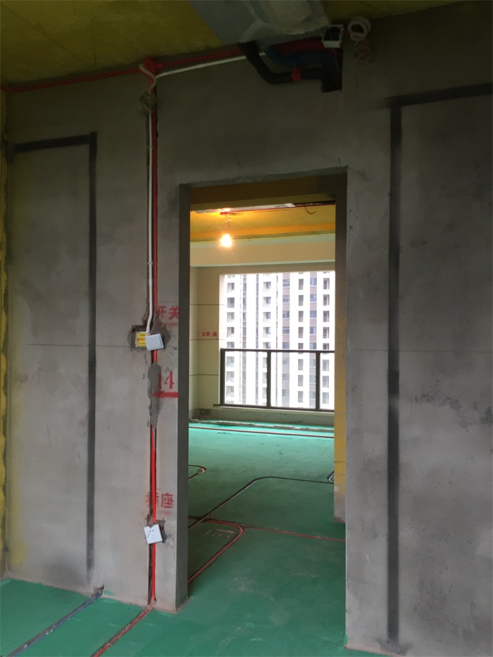 IMG_5009.JPG