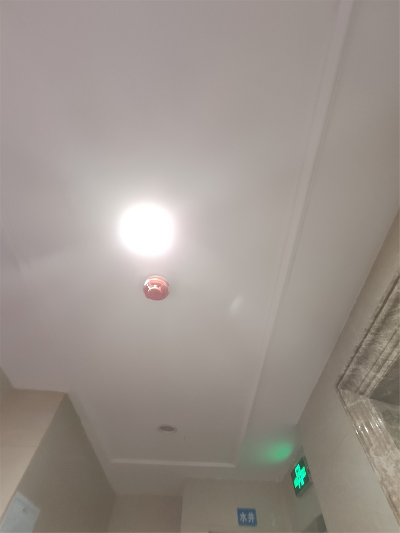 IMG_20190517_120741.jpg
