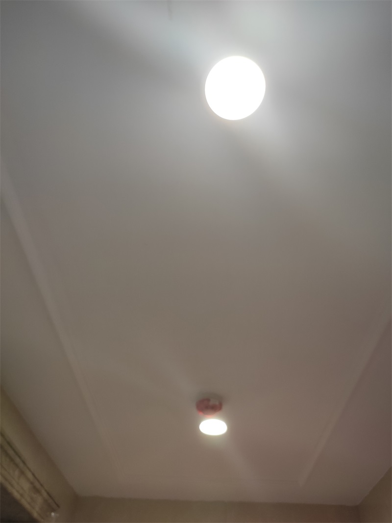 IMG_20190517_120806.jpg
