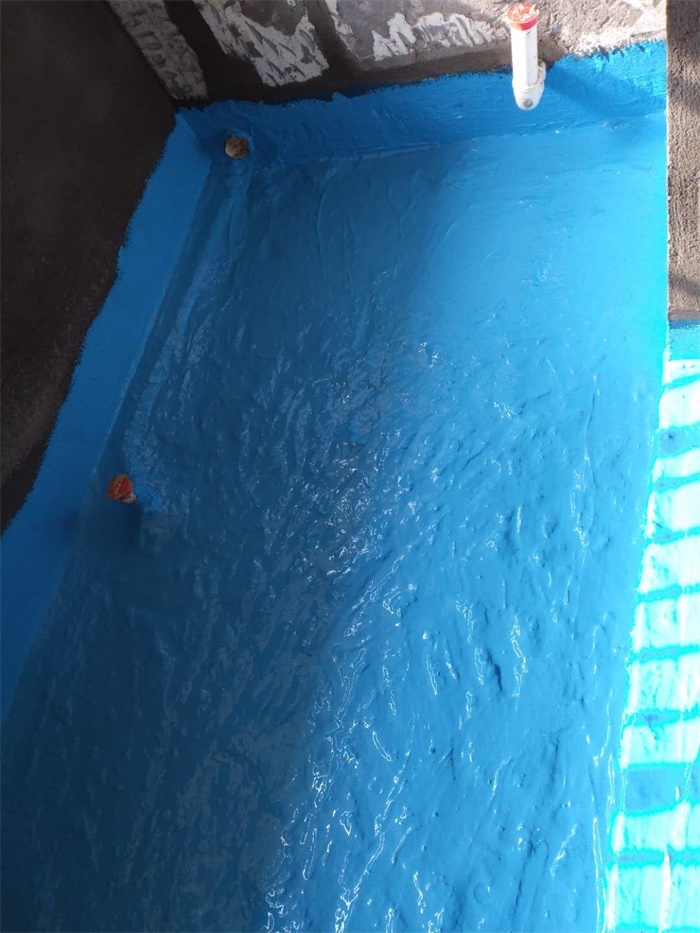 mmexport1579056493309.jpg