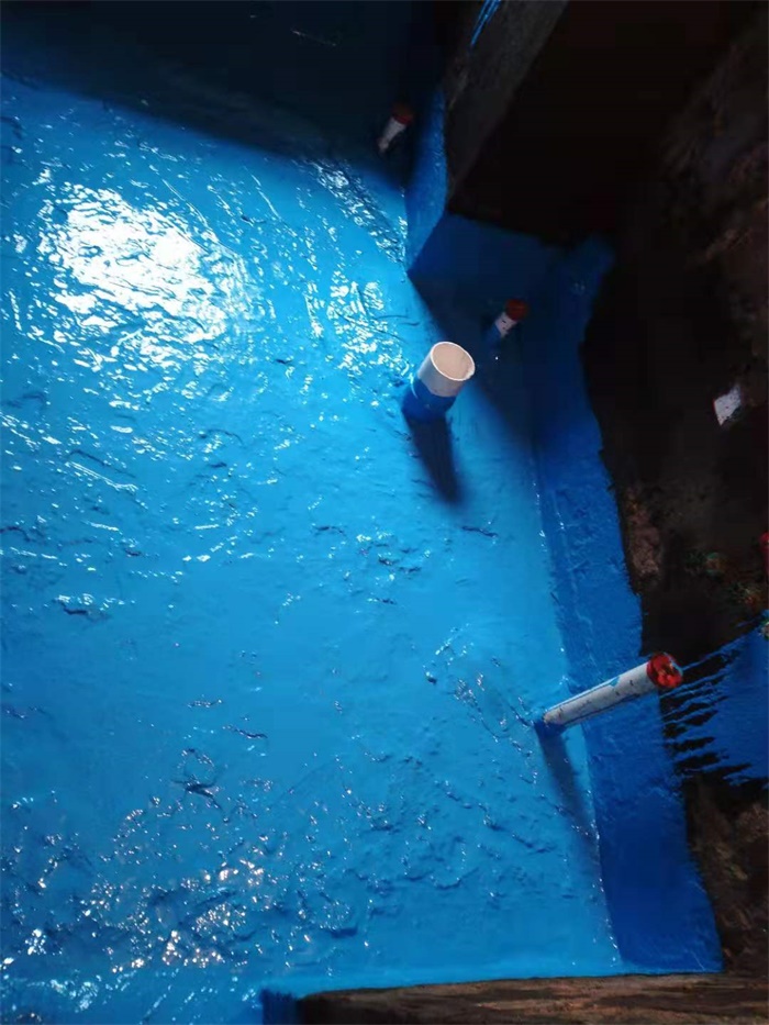 mmexport1579056489650.jpg