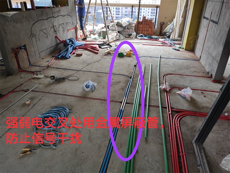 IMG_20190705_164644.jpg