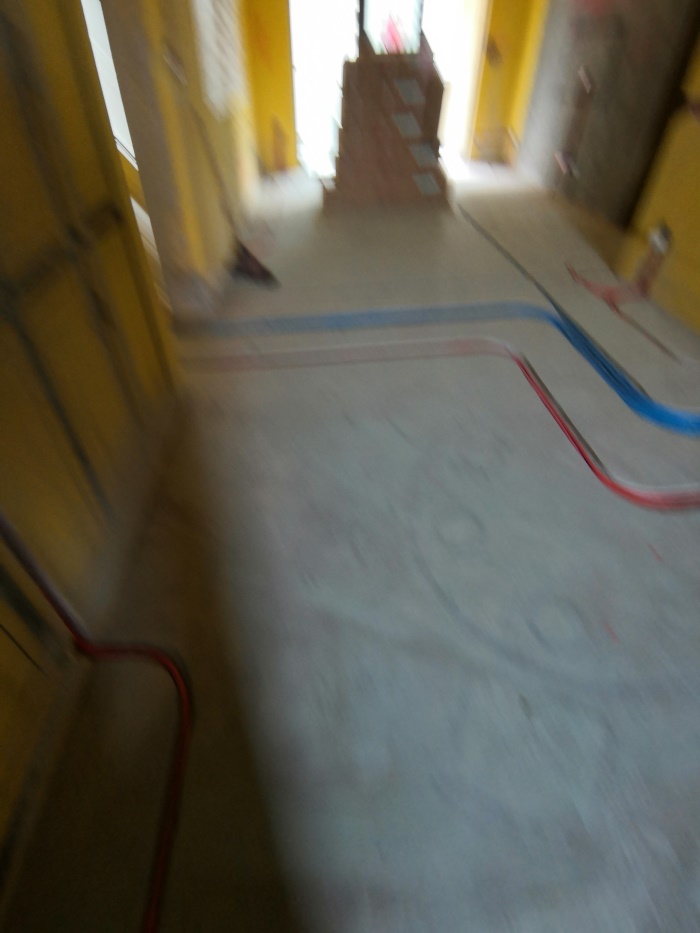 IMG_20190609_102409.jpg
