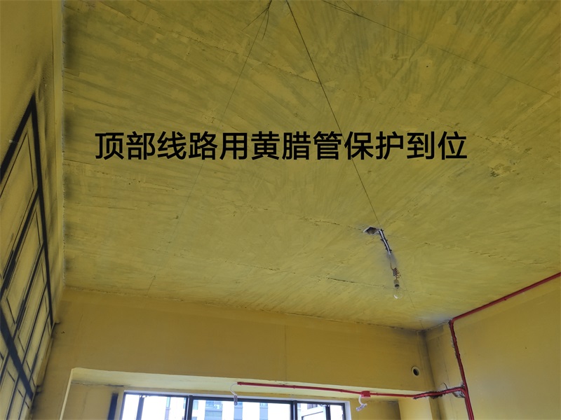 IMG_20190707_111806.jpg