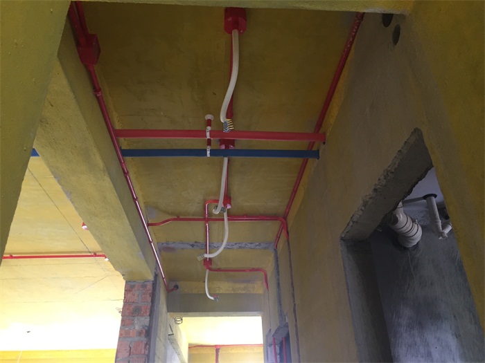 IMG_8586.JPG