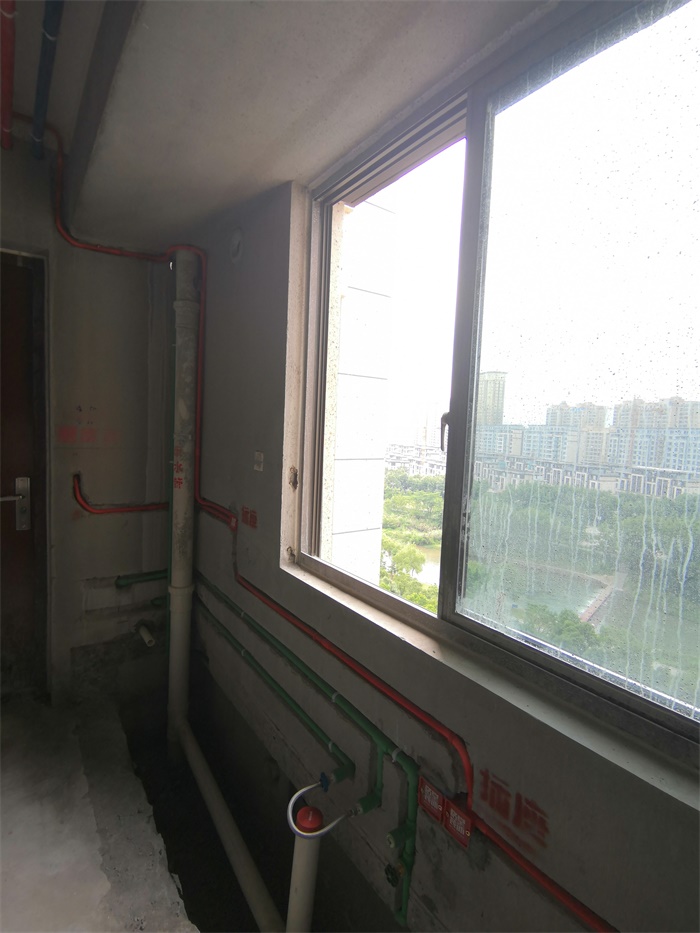 IMG_20190616_152500.jpg