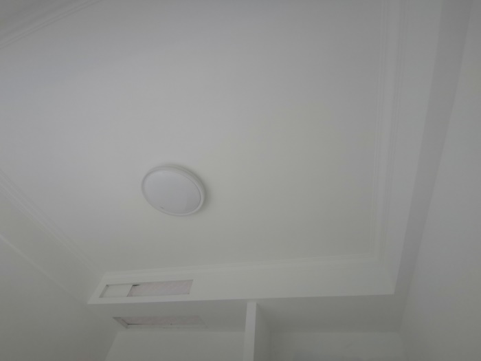 IMG_20190816_091905.jpg