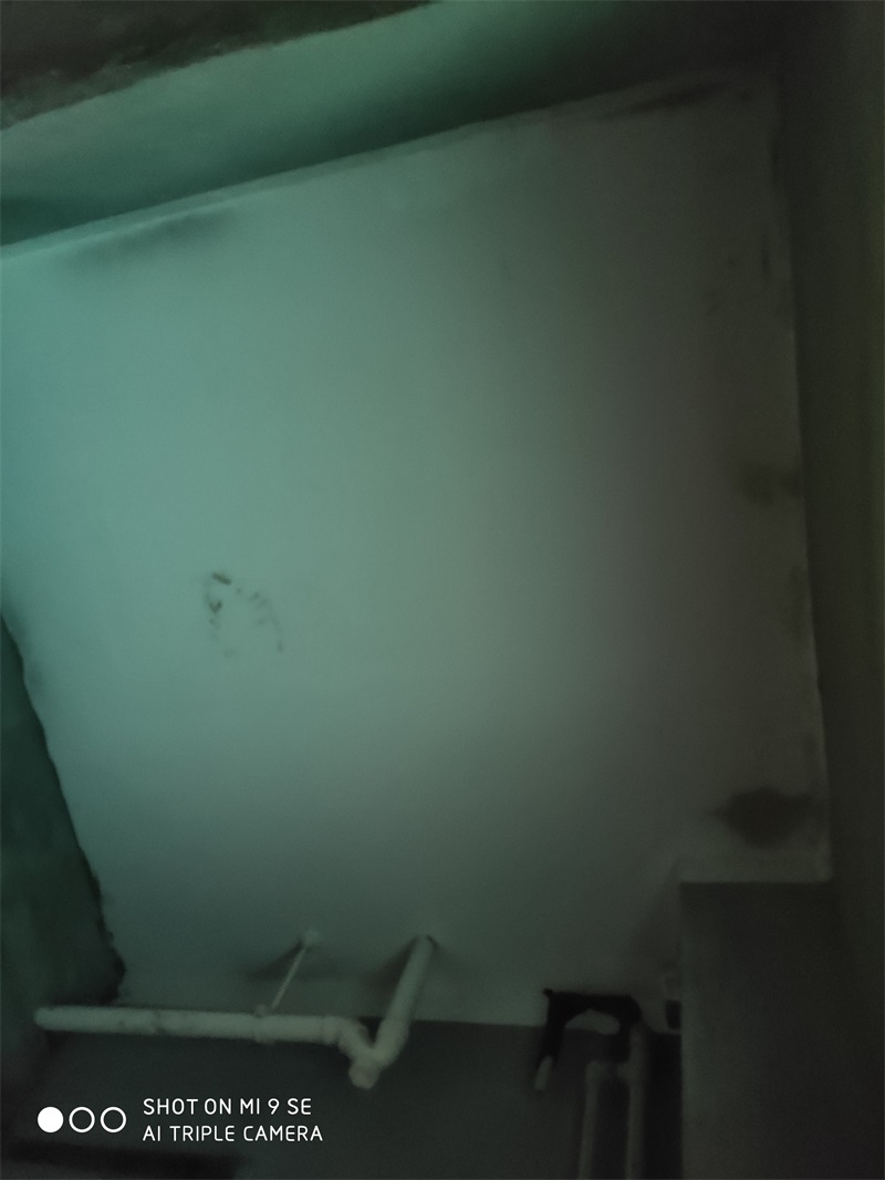 IMG_20190507_165014.jpg