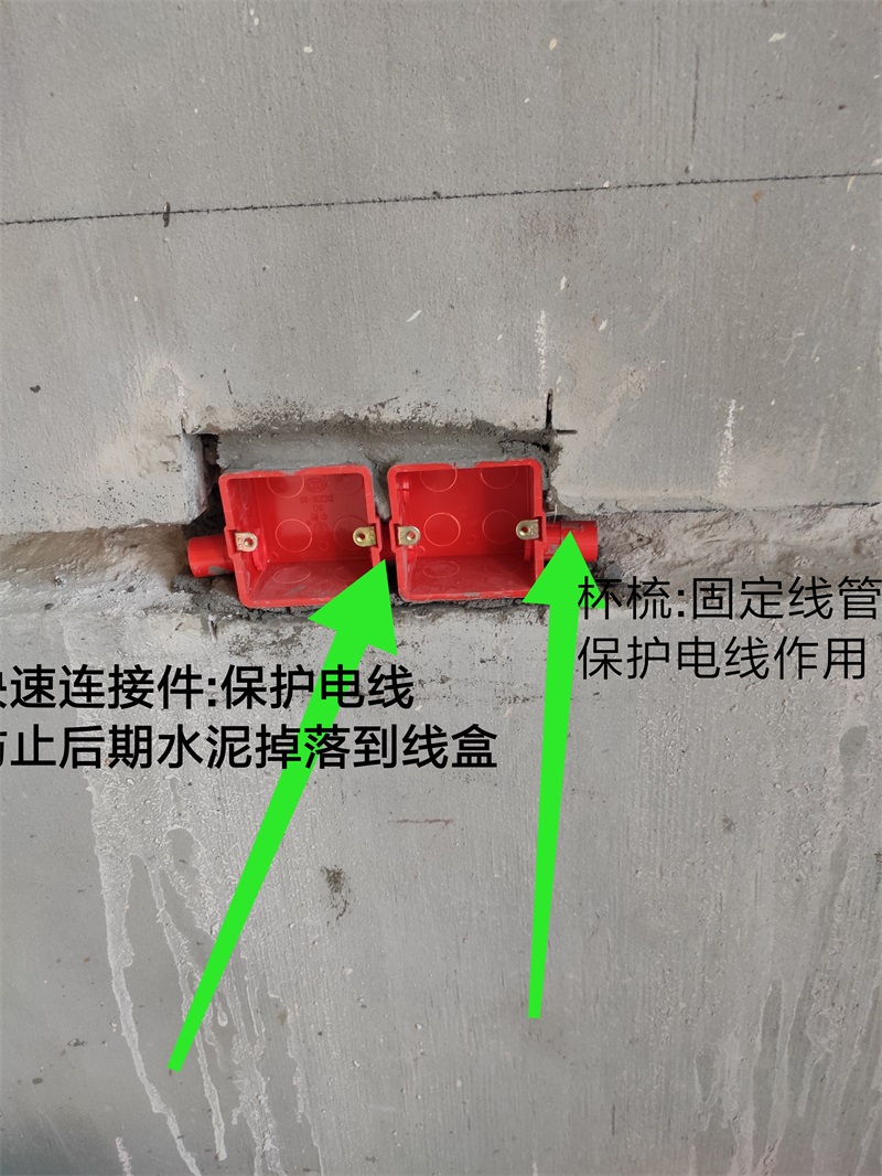 IMG_20190618_125430.jpg
