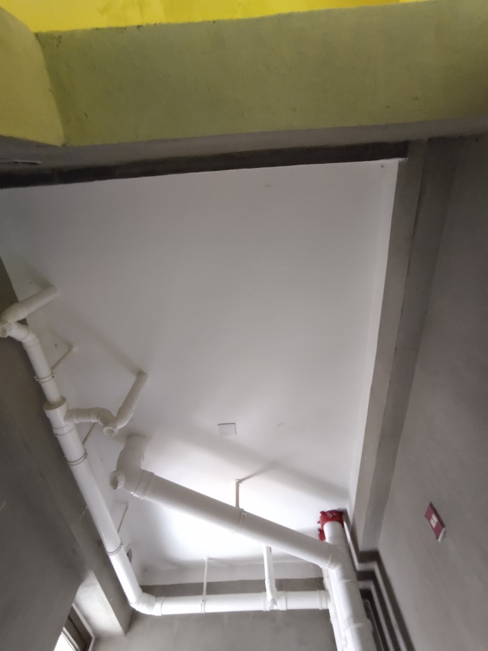 IMG_20190707_094921.jpg