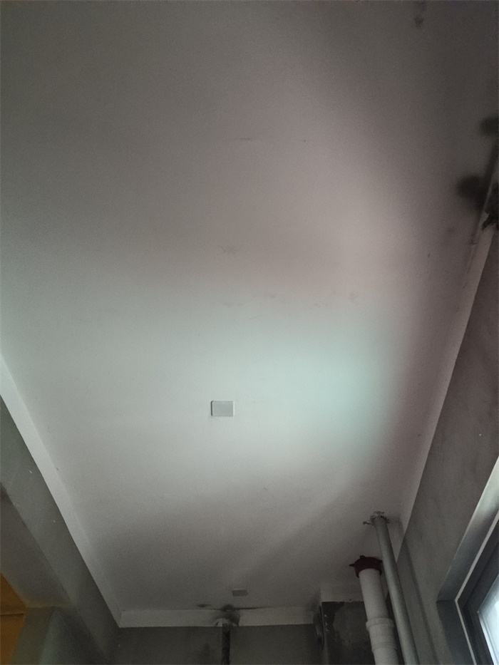 IMG_20190713_134515.jpg