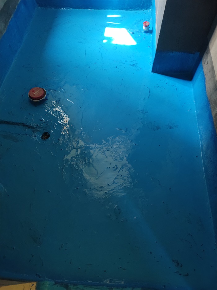 IMG_20190726_093913.jpg