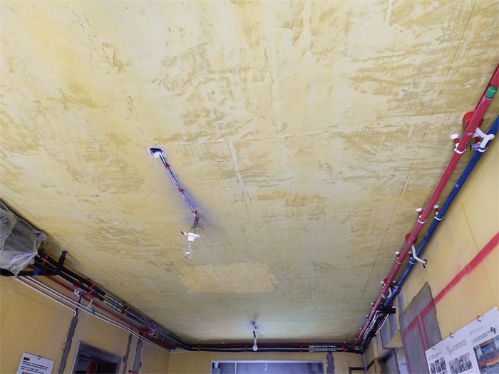 IMG_20190819_094721.jpg