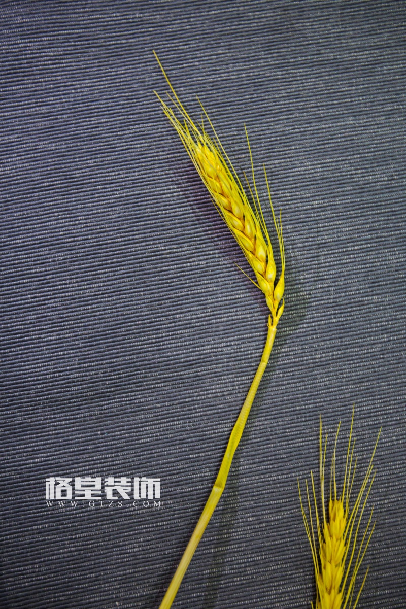 7E1A4213.jpg
