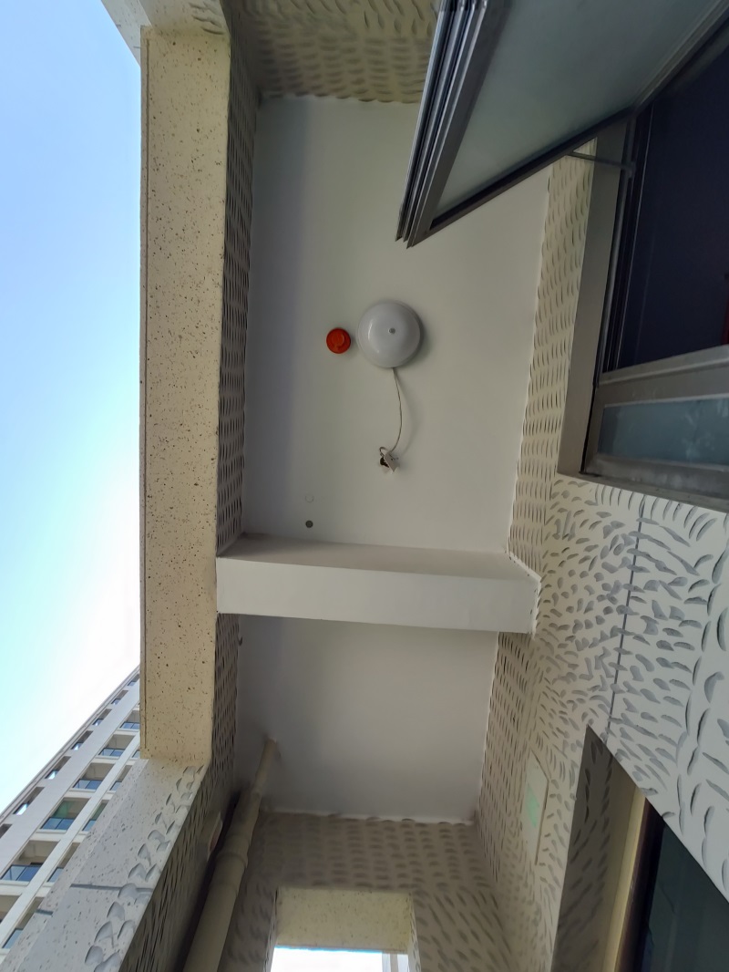 IMG_20190615_103635.jpg