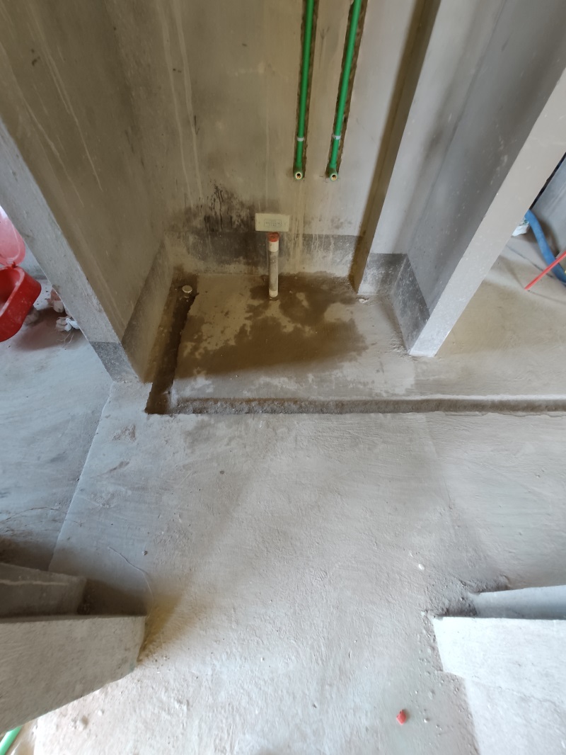 IMG_20190615_103811.jpg
