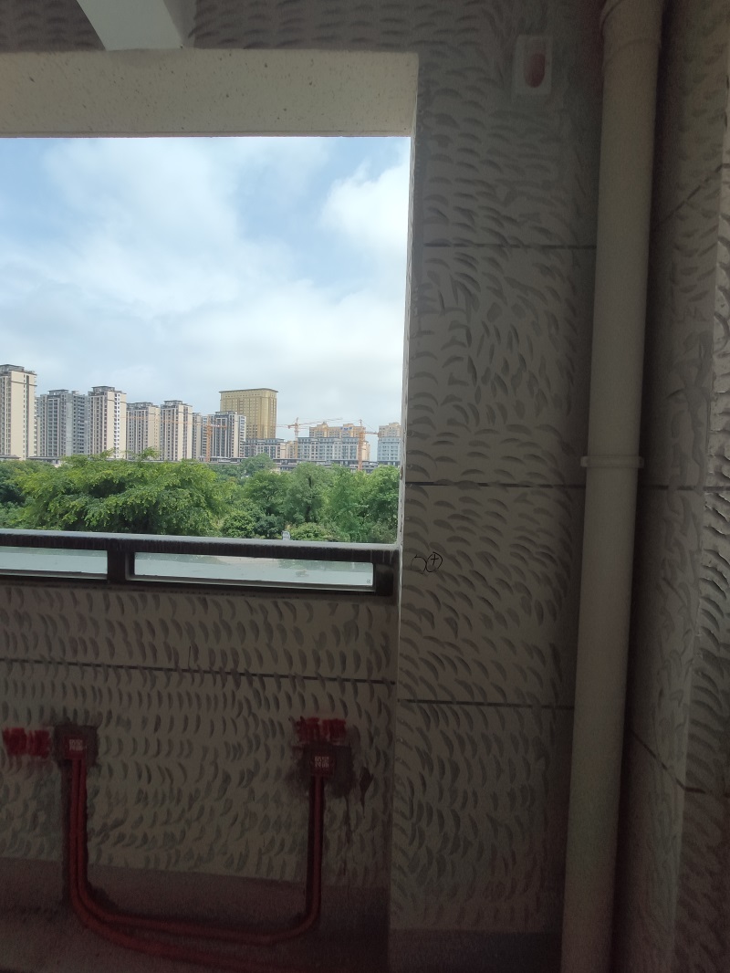IMG_20190620_103037.jpg