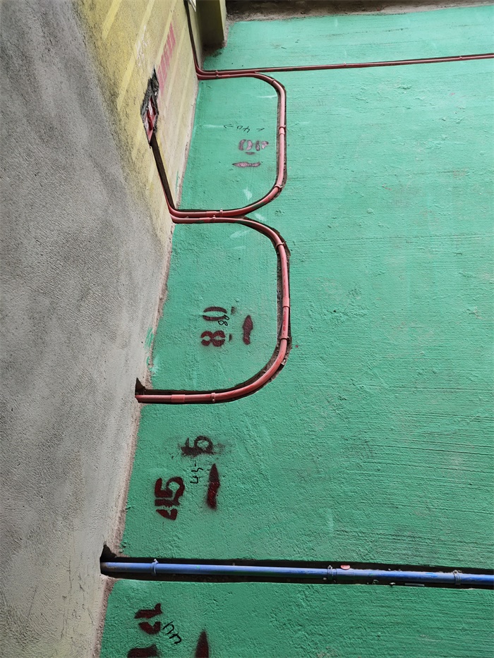 IMG_20190618_131519.jpg