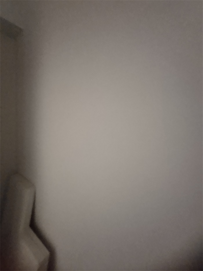 IMG_20191026_091150.jpg