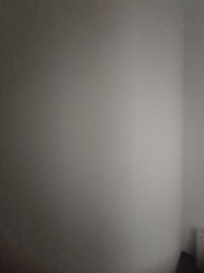 IMG_20191026_091206.jpg