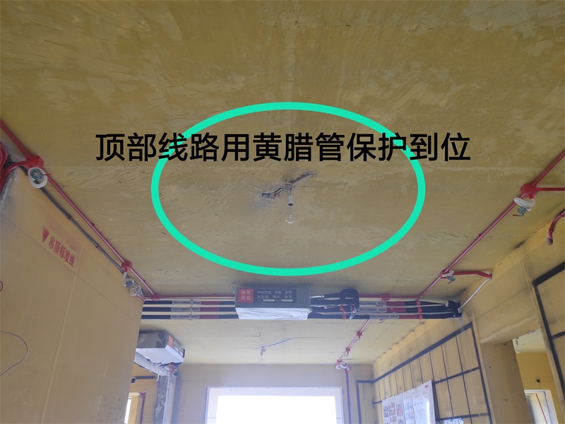 IMG_20190816_100005.jpg