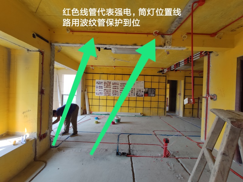 IMG_20190816_101758.jpg