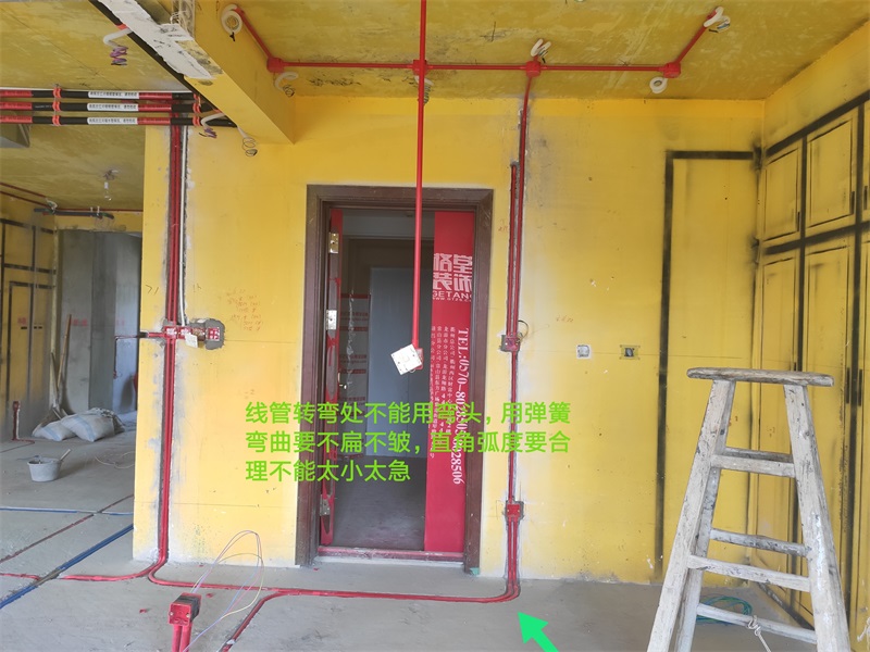 IMG_20190816_101853.jpg