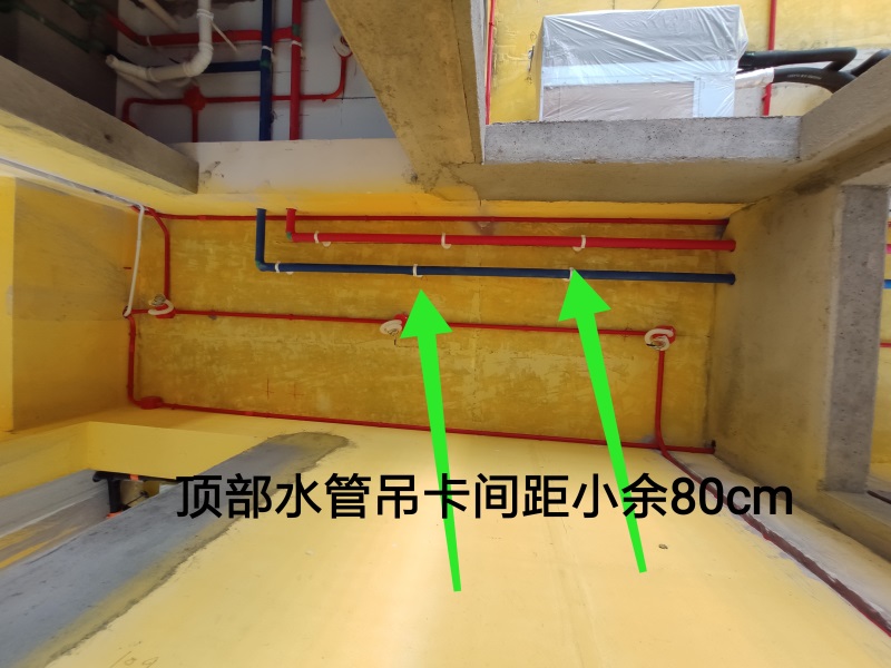 IMG_20190816_102947.jpg