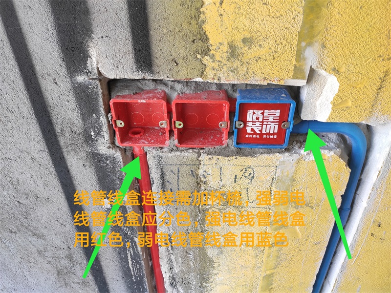 IMG_20190816_104210.jpg