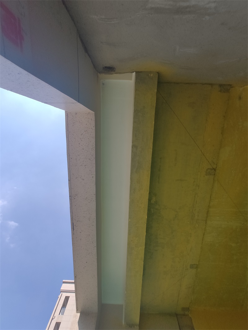 IMG_20190824_094942.jpg