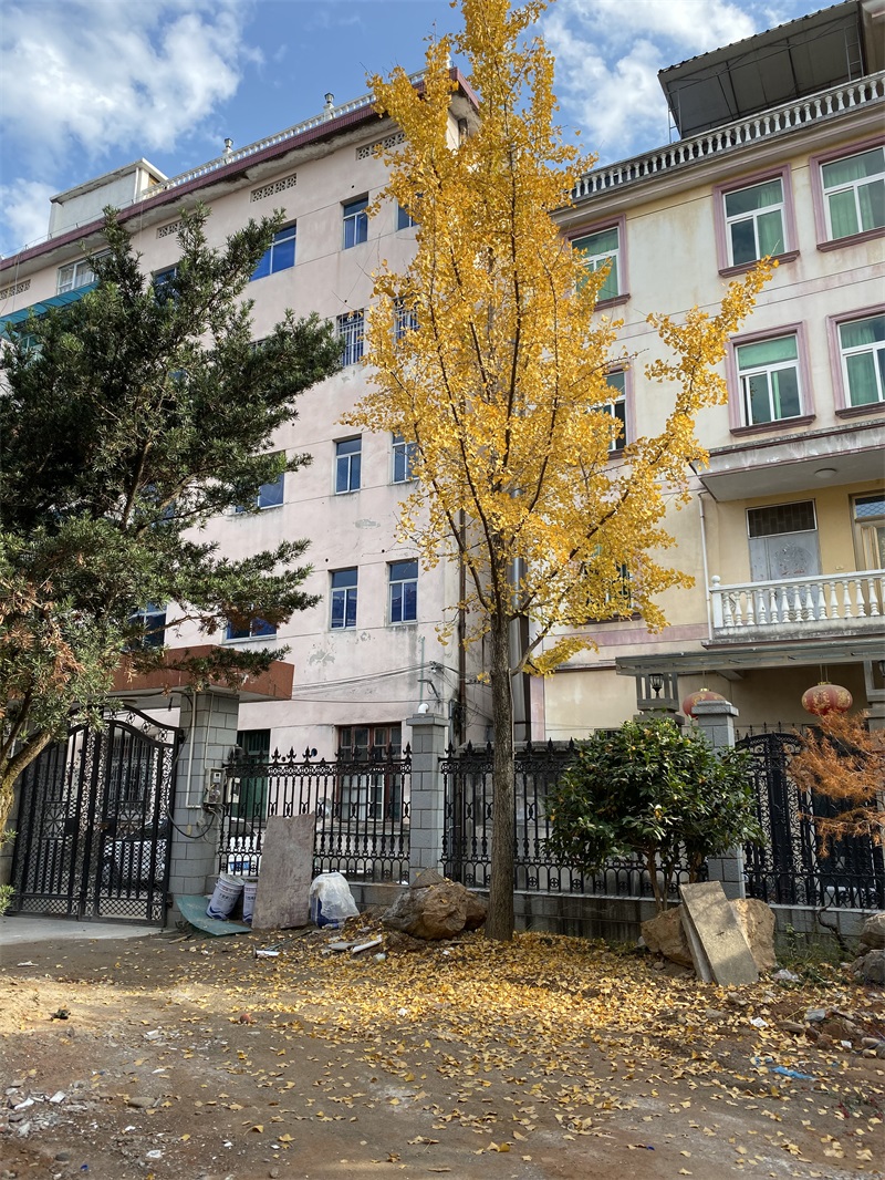 IMG_3434.JPG