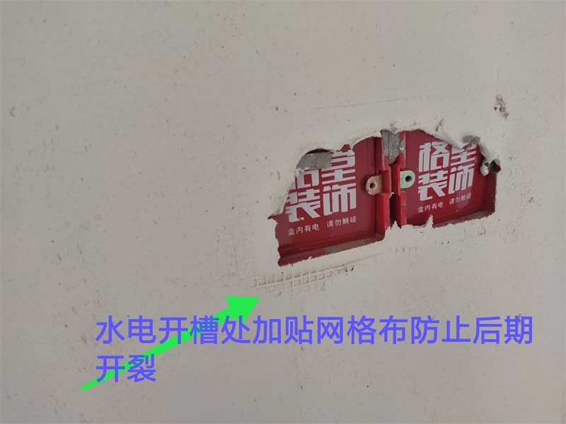 IMG_20190820_100159.jpg