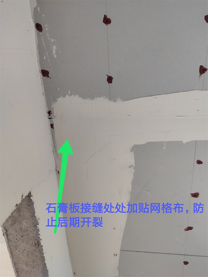 IMG_20190820_100520.jpg