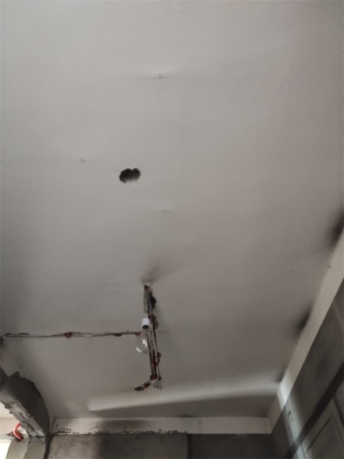 IMG_20190727_075626.jpg