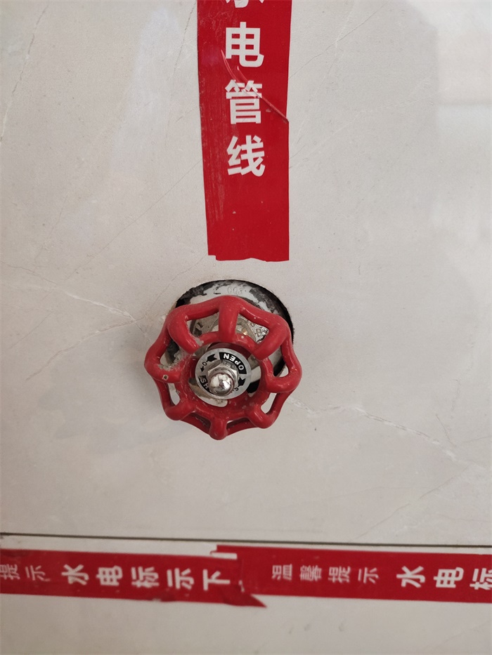 IMG_20190811_080648.jpg