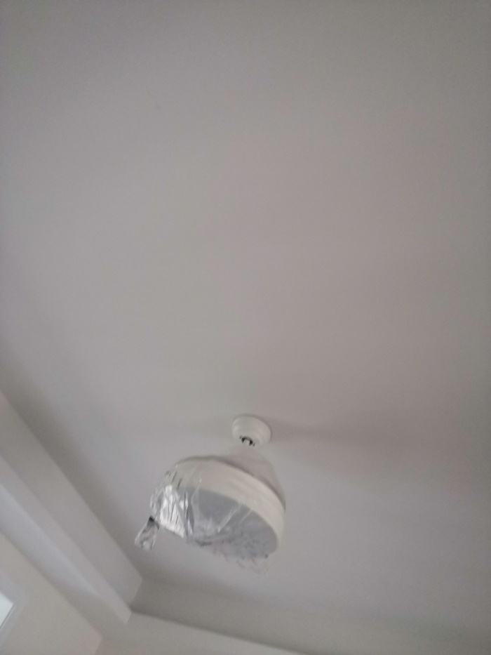 IMG_20191113_134058.jpg