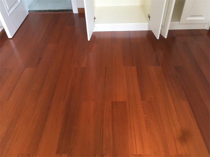 IMG_2850.JPG