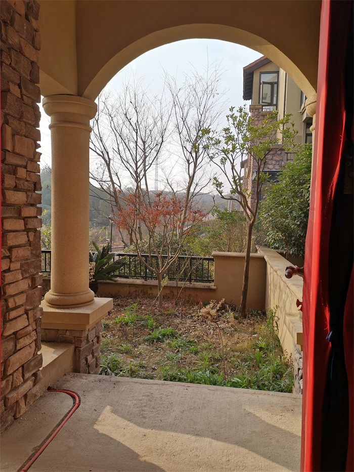 IMG_20191229_084423.jpg