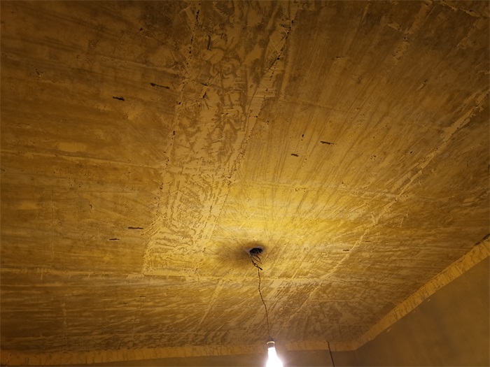 IMG_20191229_085010.jpg