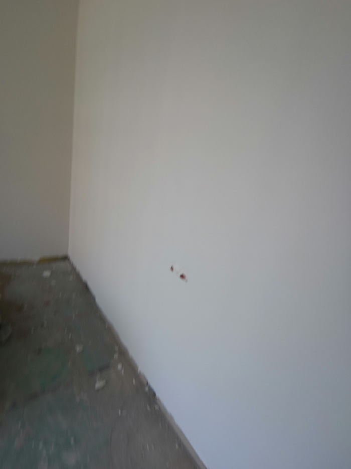 IMG_20190820_102901.jpg