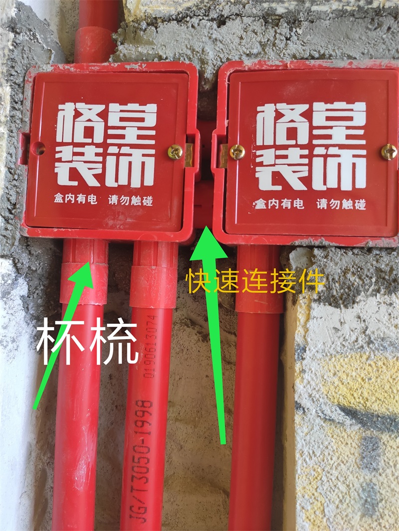IMG_20190717_110605.jpg