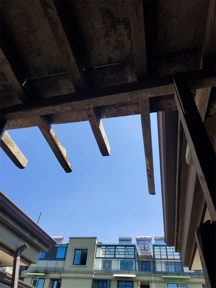 IMG_20190615_140955.jpg