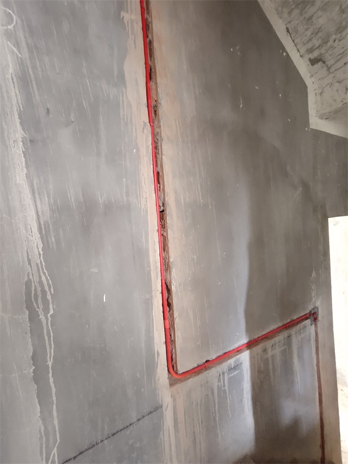 IMG_20190630_081024.jpg