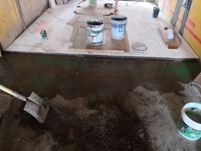 IMG_20190721_163248.jpg