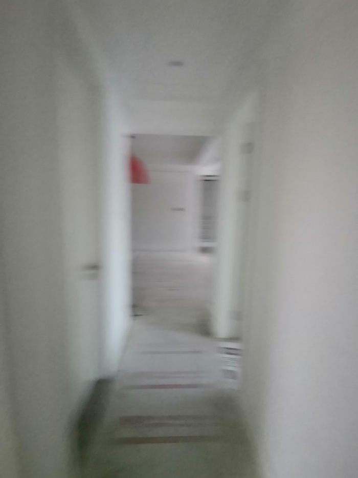 IMG_20191228_164831.jpg
