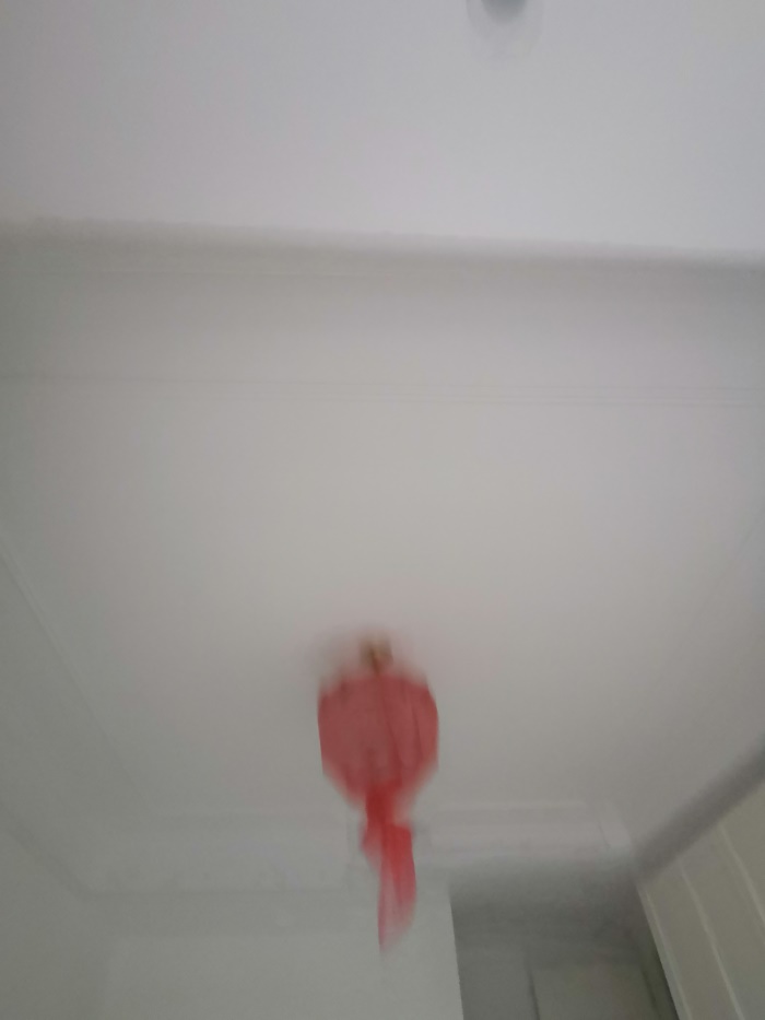 IMG_20191228_164911.jpg