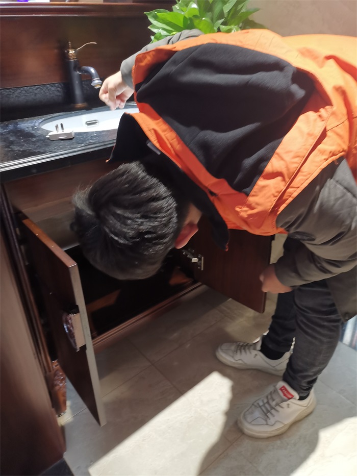 IMG_20191227_091754.jpg